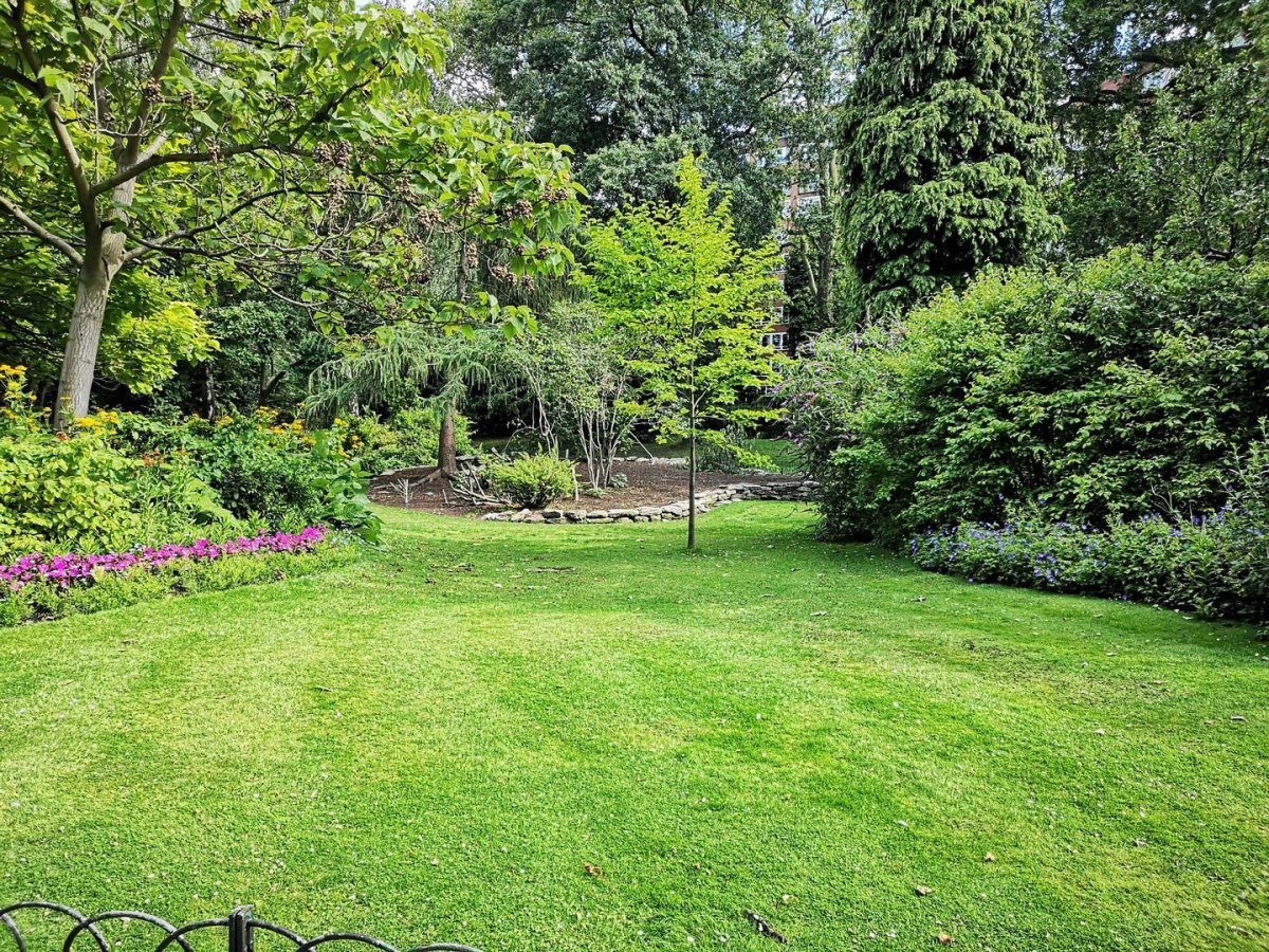 Lovely lawn surrounded by trees and hedge